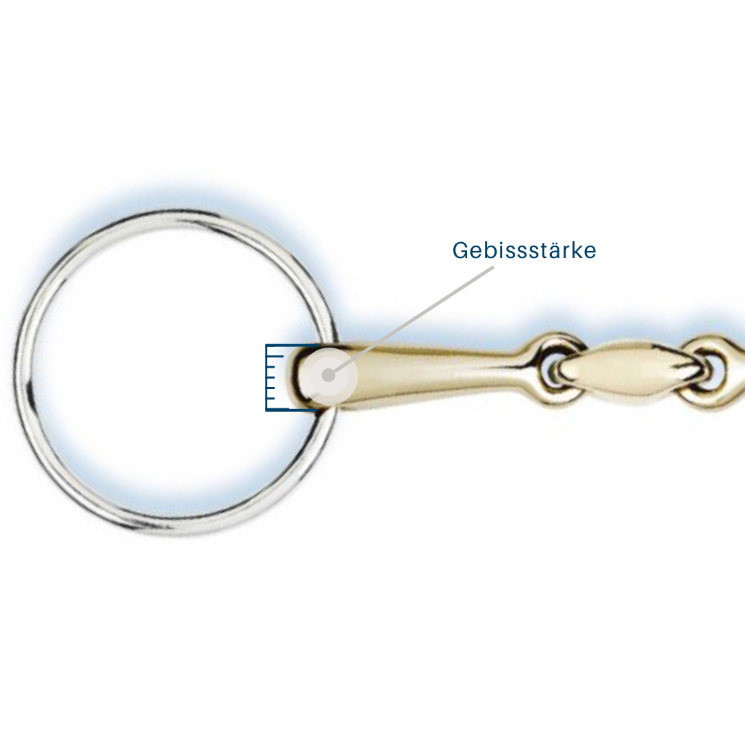 Mundstück-6